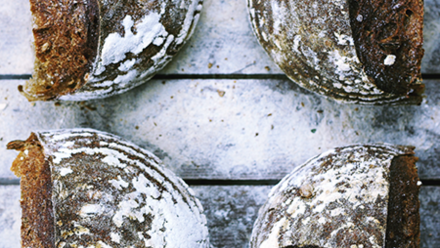 4 slices of bread in snow